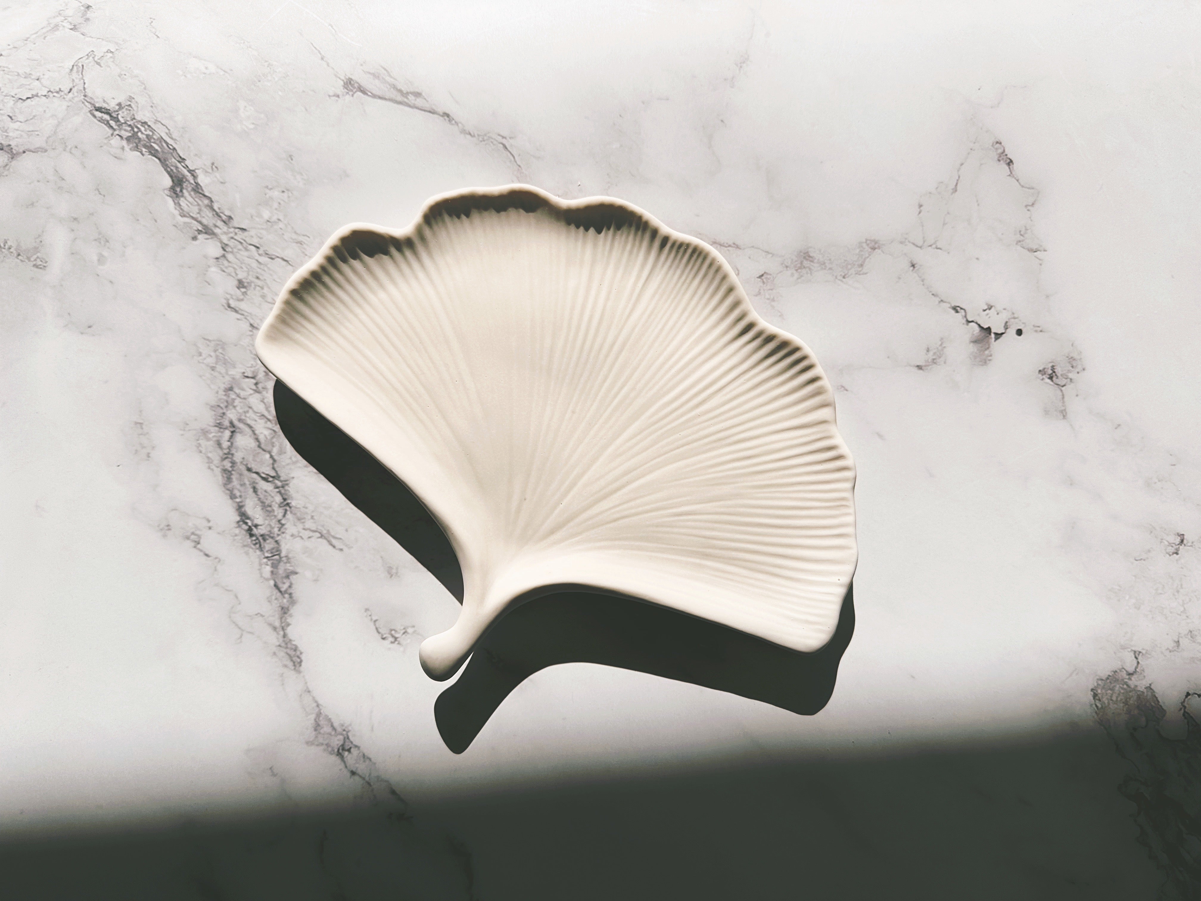 Ginkgo Leaf Tray