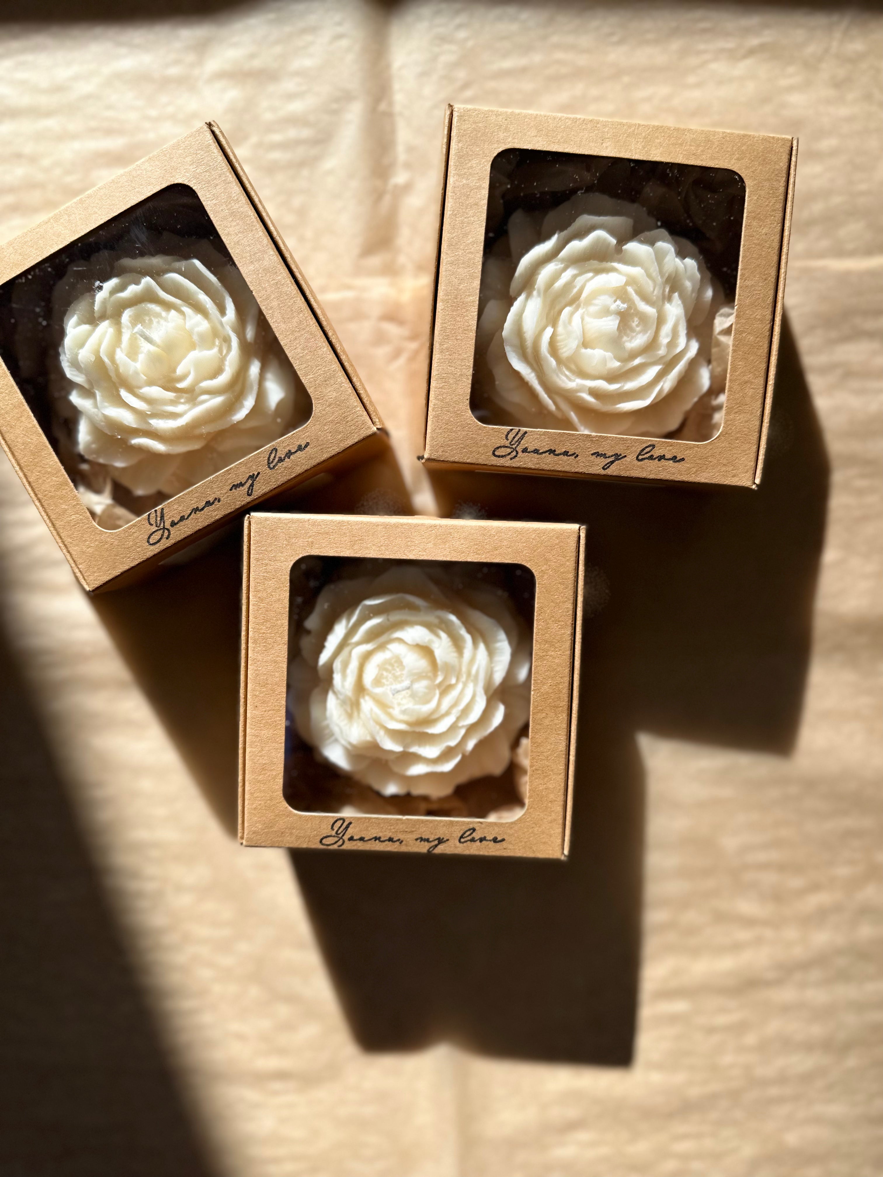 Peony Whisper