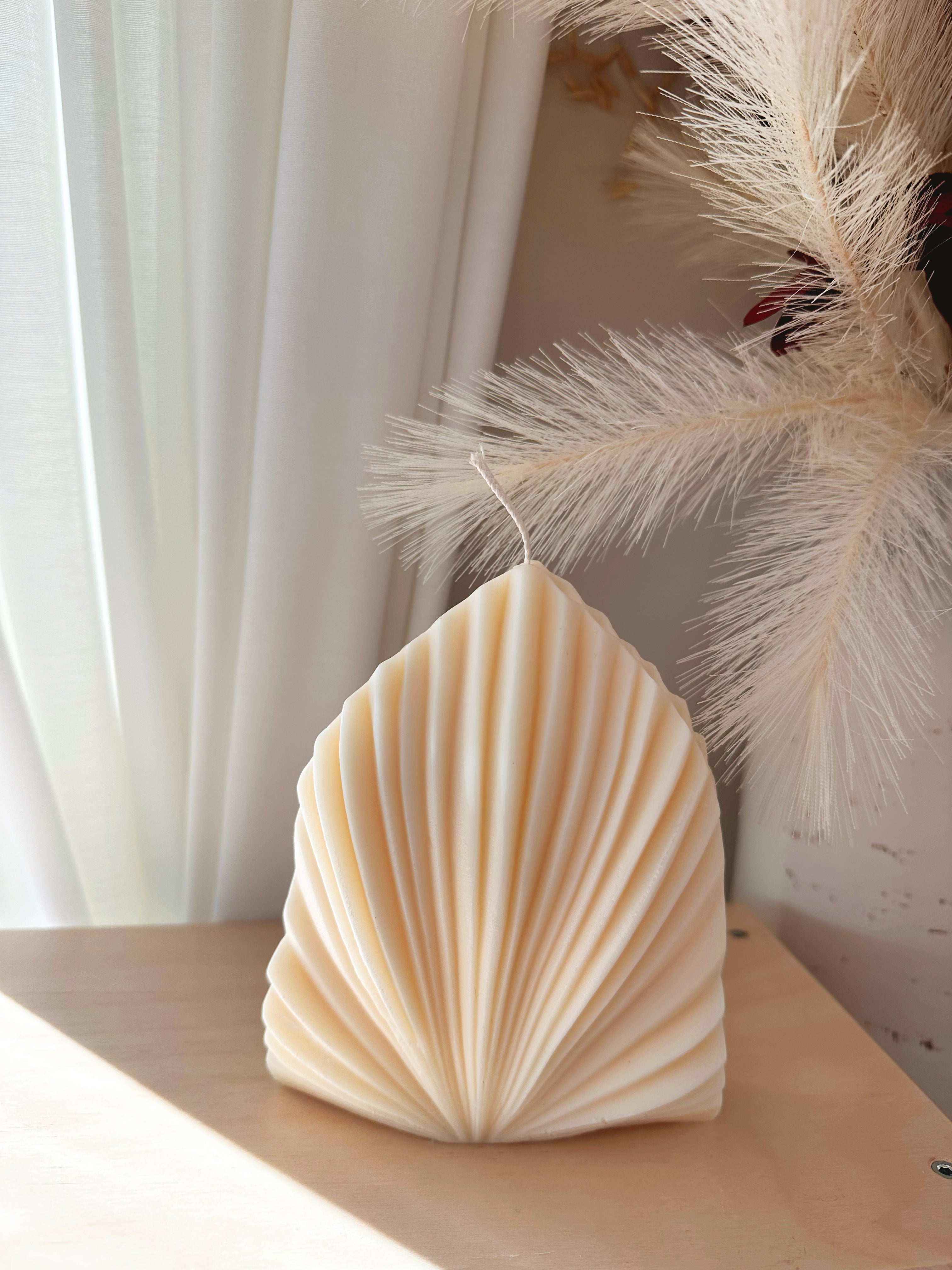 Coco Leaf